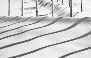 photos Abbas Kiarostami