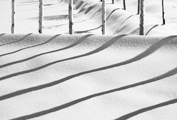 photos Abbas Kiarostami