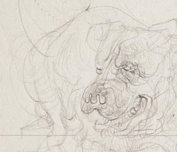 dessin Hans Bellmer