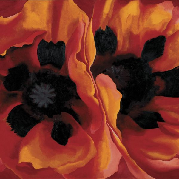 tableau Georgia O’Keeffe